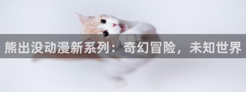 动漫导航网：熊出没动漫新系列：奇幻冒险，未知世界